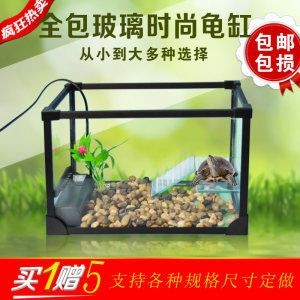 大魚(yú)缸定制：大型魚(yú)缸定制服務(wù)