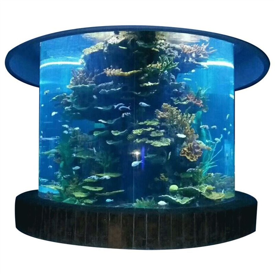 大型圓柱魚缸：關(guān)于大型圓柱魚缸的一些信息 大型圓柱魚缸：關(guān)于大型圓柱魚缸的一些信息 魚缸百科 第3張