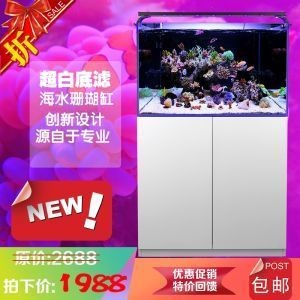 側濾加底濾魚缸：側濾和底濾魚缸的優缺點 側濾加底濾魚缸：側濾和底濾魚缸的優缺點 魚缸百科 第3張