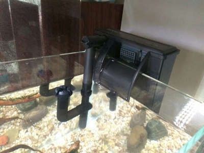 安裝魚缸過濾器的視頻：安裝魚缸過濾器的步驟和技巧 安裝魚缸過濾器的視頻：安裝魚缸過濾器的步驟和技巧 魚缸百科 第1張