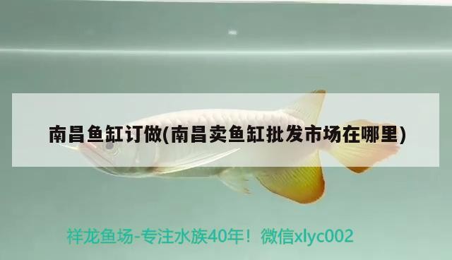 南昌魚缸訂做(南昌賣魚缸批發市場在哪里) 南昌魚缸訂做(南昌賣魚缸批發市場在哪里) 虎魚百科