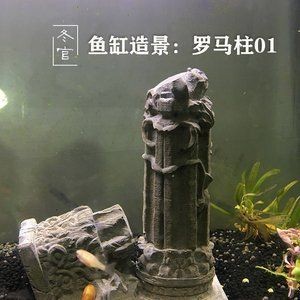 冬天做魚缸多少天才能用水泥：冬天建造魚缸使用水泥需要注意什么？