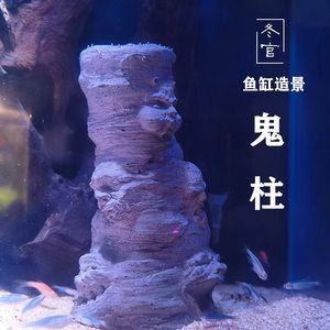 冬天做魚缸多少天才能用水泥：冬天建造魚缸使用水泥需要注意什么？