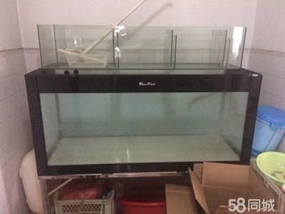 1米5長60寬魚缸多少錢：1米5長60寬的魚缸多少錢 1米5長60寬魚缸多少錢：1米5長60寬的魚缸多少錢 魚缸百科 第3張