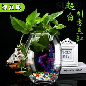 超白金晶玻璃魚(yú)缸啥意思 超白金晶玻璃魚(yú)缸啥意思 魚(yú)缸百科 第3張