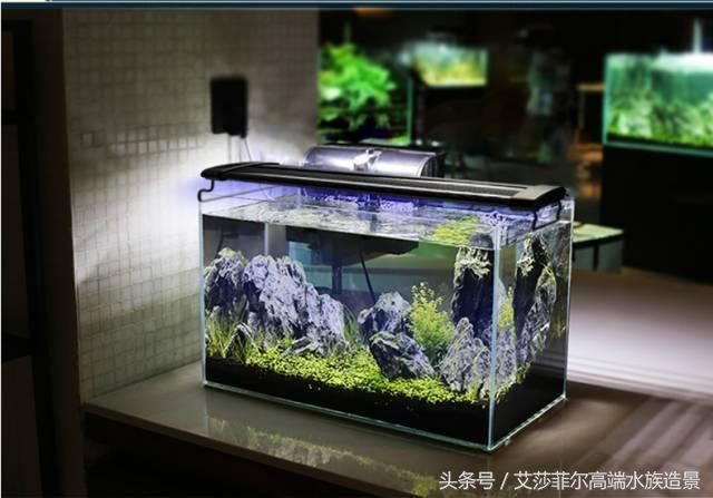 超白缸魚缸厚度4厘米：超白魚缸厚度選購注意事項選購注意事項選購注意事項