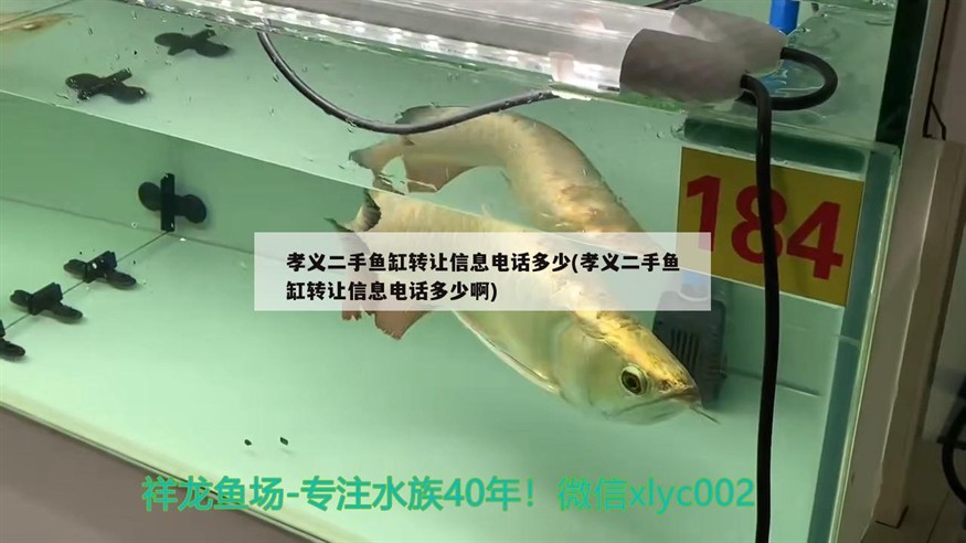 孝義二手魚缸轉讓信息電話多少(孝義二手魚缸轉讓信息電話多少啊)