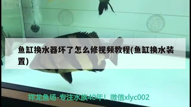魚缸換水器壞了怎么修視頻教程(魚缸換水裝置)