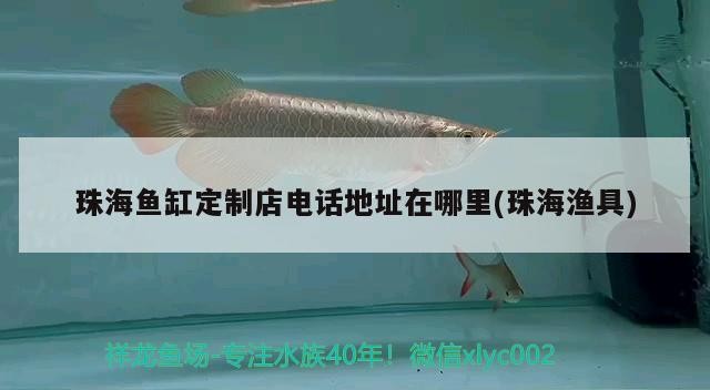珠海魚缸定制店電話地址在哪里(珠海漁具)