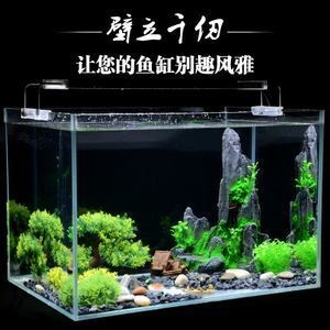 大魚缸如何造景好看又簡單視頻：大魚缸造景教程