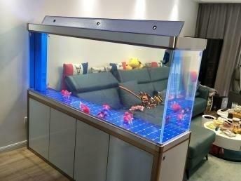 大的魚缸怎么清洗視頻：大魚缸如何清洗大型魚缸文字信息大魚缸清洗注意事項