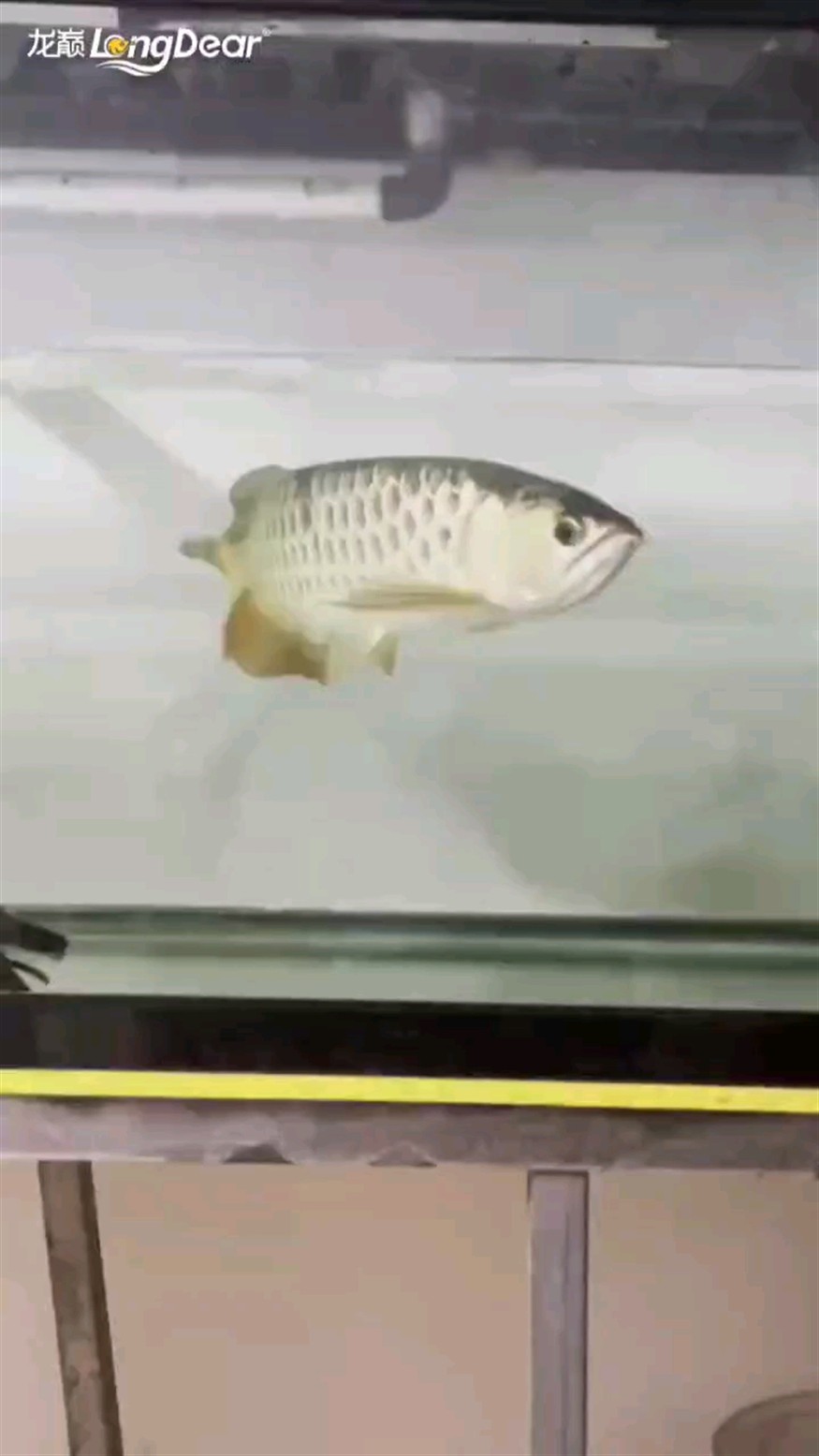 轉發180