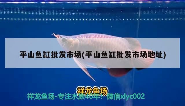 平山魚缸批發(fā)市場(平山魚缸批發(fā)市場地址)