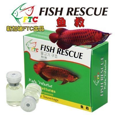 新加坡紅龍魚會發色嗎知乎：新加坡紅龍魚發色過程