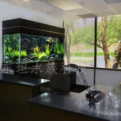 定做一個魚缸大概要多少錢左右：定做一個魚缸價格范圍