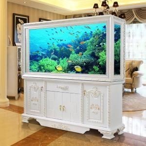 從風水角度看,魚缸放哪合適呢 從風水角度看,魚缸放哪合適呢 魚缸百科 第3張