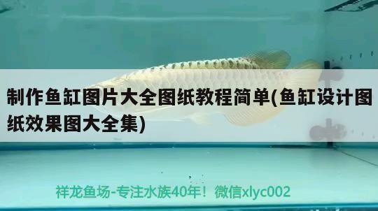 制作魚缸圖片大全圖紙教程簡單(魚缸設計圖紙效果圖大全集)