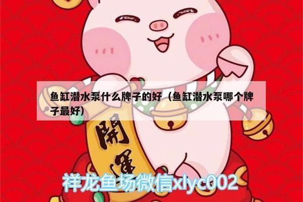 遼中縣夢洋花卉水族館（遼中縣夢洋花卉水族館電話）
