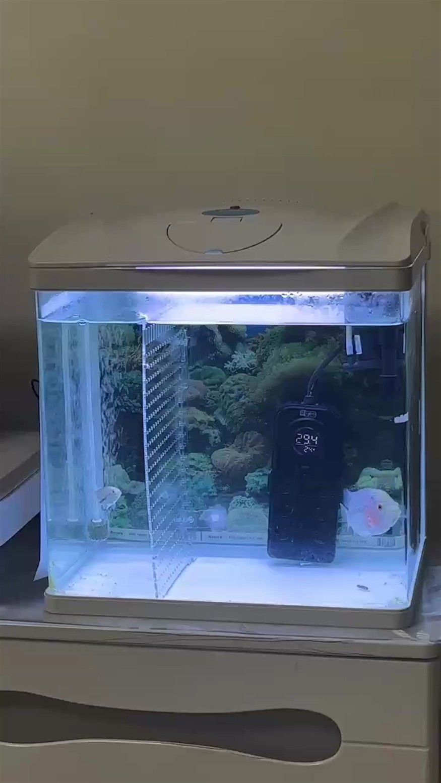 魚缸用增氧泵價格是多少:魚缸增氧機-xtrac增氧機-xtrac增氧機 臨時養下 龍魚論壇 臨時養下 臨時養下 龍魚論壇