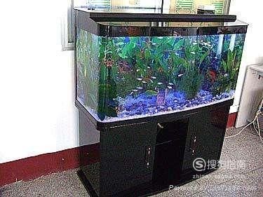 徹底清洗魚缸用什么水最好：魚缸清洗全攻略