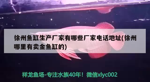徐州魚缸生產(chǎn)廠家有哪些廠家電話地址(徐州哪里有賣金魚缸的)
