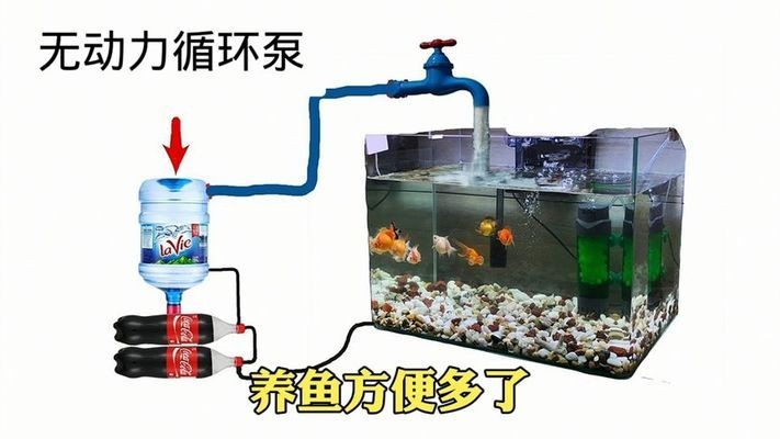 富源縣古敢水族鄉銳欽商店（富源縣古敢鄉水族文化） 富源縣古敢水族鄉銳欽商店（富源縣古敢鄉水族文化） 全國水族館企業名錄 第1張