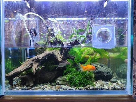 夏邑縣海洋水族館（夏邑縣海洋水族館電話）