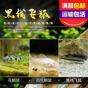 大型魚缸怎么運輸到家里：大型魚缸如何搬運 大型魚缸怎么運輸到家里：大型魚缸如何搬運 魚缸百科 第1張