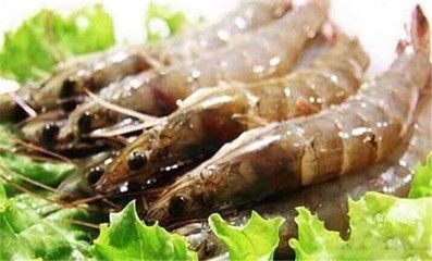 龍魚吃蝦有什么好處