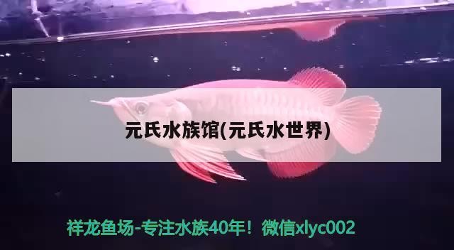 元氏水族館(元氏水世界) 元氏水族館(元氏水世界) 紅龍魚百科