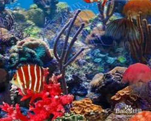 魚缸蓋子怎么拆下來（魚缸蓋子怎么拆下來視頻）