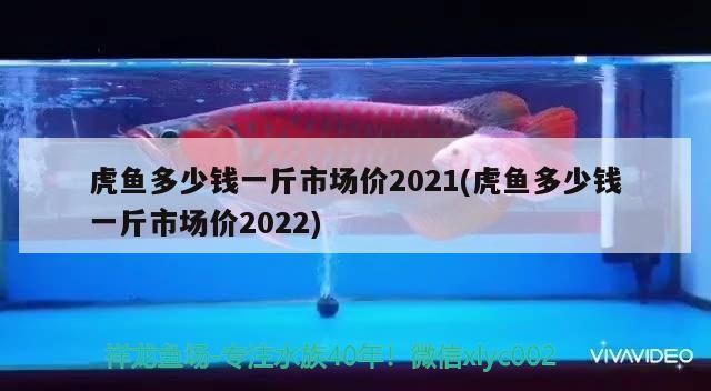 魚缸用增氧泵價格是多少:魚缸增氧機-xtrac增氧機-xtrac增氧機 虎魚多少錢一斤市場價2021(虎魚多少錢一斤市場價2022) 虎魚百科 虎魚多少錢一斤市場價2021(虎魚多少錢一斤市場價2022) 虎魚多少錢一斤市場價2021(虎魚多少錢一斤市場價2022) 虎魚百科