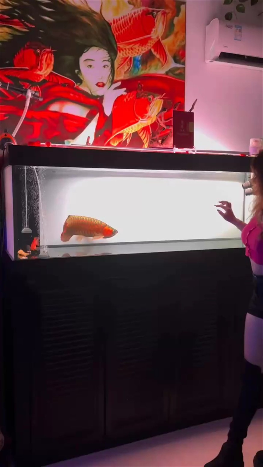 深夜看魚了
