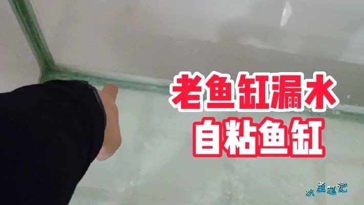 大魚缸漏水了人進不去怎么修補視頻：大魚缸漏水怎么辦？
