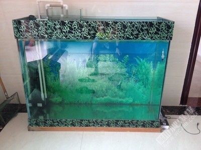 出售二手魚缸：二手魚缸出售信息 出售二手魚缸：二手魚缸出售信息 魚缸百科 第1張