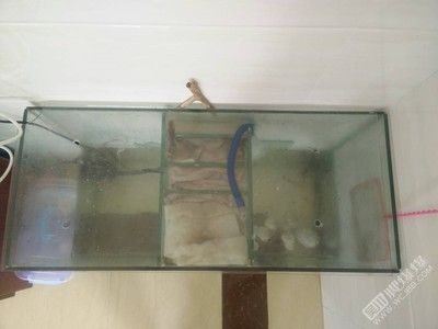 出售二手魚缸：二手魚缸出售信息 出售二手魚缸：二手魚缸出售信息 魚缸百科 第2張