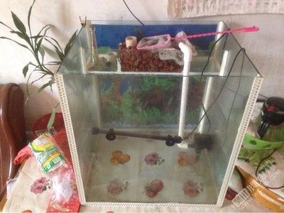 出售二手魚缸：二手魚缸出售信息 出售二手魚缸：二手魚缸出售信息 魚缸百科 第3張