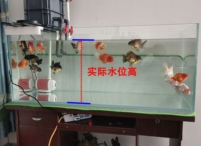 大蘇打魚缸放多少水最好呢：大蘇打在魚缸中的主要作用是除氯，它可以幫助去除自來水中的余氯