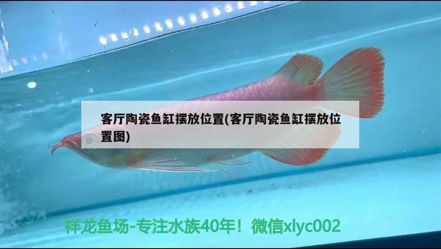 魚缸蓋著好還是不蓋好(魚缸蓋上好還是不蓋的好) 魚缸蓋著好還是不蓋好(魚缸蓋上好還是不蓋的好) 紅龍魚百科