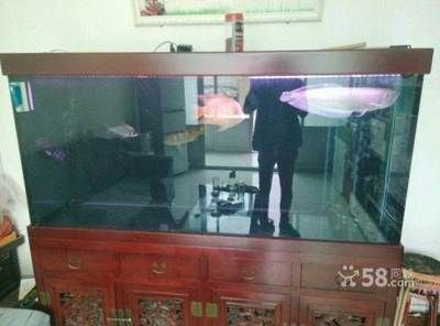 大興黃村哪里有賣魚缸的市場：北京哪里可以賣魚缸