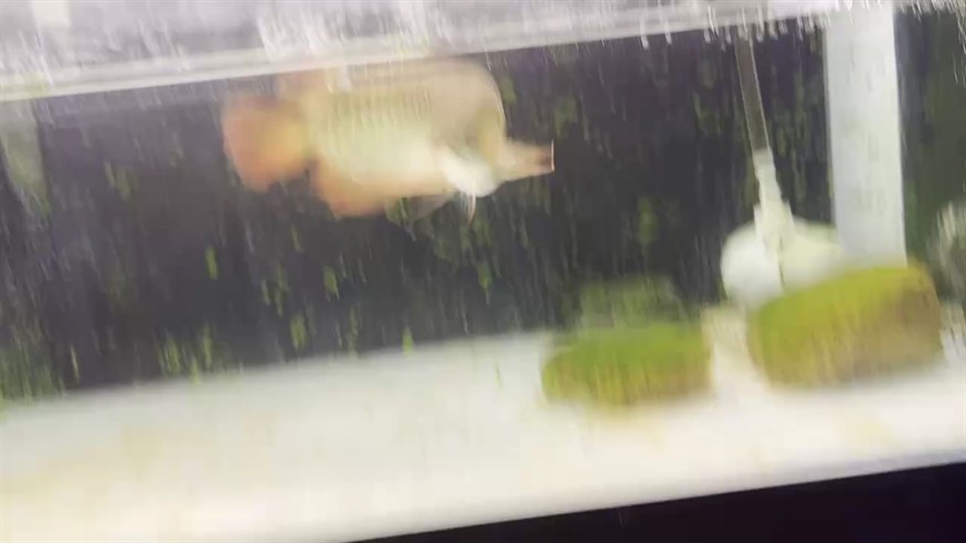 我們一歲了