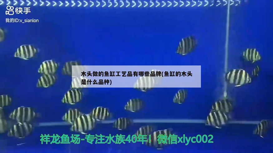 木頭做的魚缸工藝品有哪些品牌(魚缸的木頭是什么品種) 木頭做的魚缸工藝品有哪些品牌(魚缸的木頭是什么品種) 豬鼻龜百科