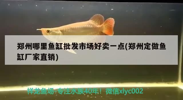 鄭州哪里魚缸批發市場好賣一點(鄭州定做魚缸廠家直銷)