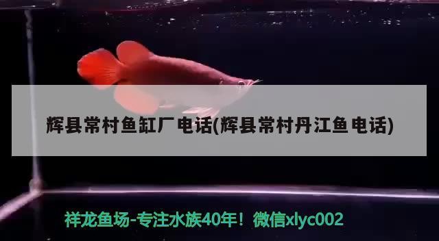 輝縣常村魚缸廠電話(輝縣常村丹江魚電話) 輝縣常村魚缸廠電話(輝縣常村丹江魚電話) 紅龍魚百科