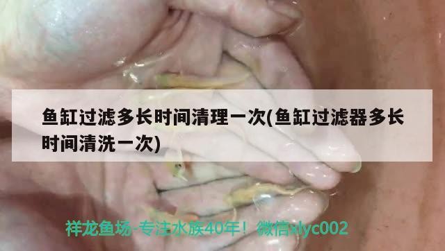 魚(yú)缸過(guò)濾多長(zhǎng)時(shí)間清理一次(魚(yú)缸過(guò)濾器多長(zhǎng)時(shí)間清洗一次)