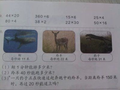 鵝卵石造景魚缸教學反思簡短：鵝卵石造景魚缸教學反思
