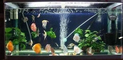森森水泵cqb2500怎么樣（森森hqb一2500水泵使用說明）
