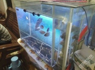 北京榮石軒工藝品店（北京榮石軒工藝品店地址）