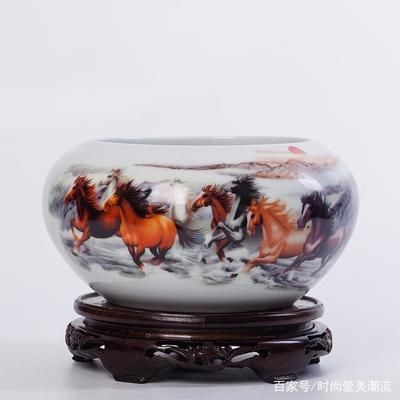 大陶瓷魚缸哪里有賣：大陶瓷魚缸的購買可以通過多種途徑進行多種途徑進行