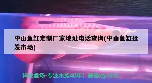 水族器材 中山魚缸定制廠家地址電話查詢(中山魚缸批發(fā)市場) 森森魚缸 中山魚缸定制廠家地址電話查詢(中山魚缸批發(fā)市場) 中山魚缸定制廠家地址電話查詢(中山魚缸批發(fā)市場) 森森魚缸